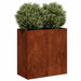 Jardinieră Rusty 80x40x80 cm Oțel pentru intemperii - WALTI WALTI