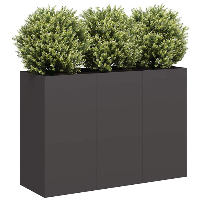 Jardinier negru 120x40x80 cm Oțel laminat la rece - WALTI WALTI