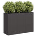 Jardinier negru 120x40x80 cm Oțel laminat la rece - WALTI WALTI