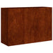 Jardinieră Rusty 120x40x80 cm Oțel pentru intemperii - WALTI WALTI