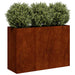 Jardinieră Rusty 120x40x80 cm Oțel pentru intemperii - WALTI WALTI