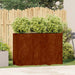 Jardinieră Rusty 120x40x80 cm Oțel pentru intemperii - WALTI WALTI