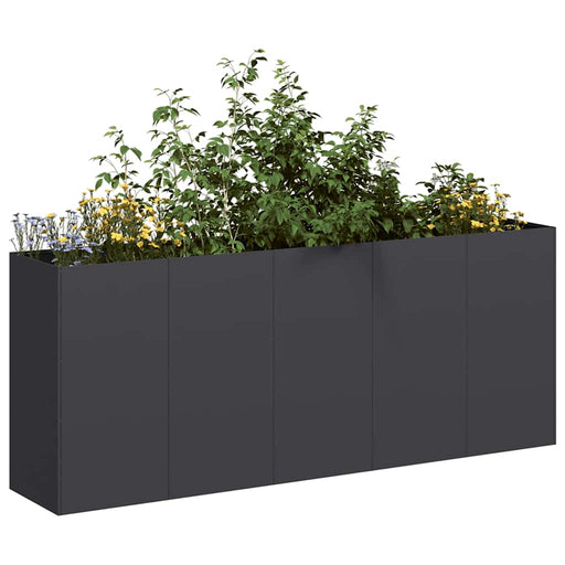 Jardinier negru 200x40x80 cm Oțel laminat la rece - WALTI WALTI