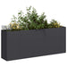 Jardinier negru 200x40x80 cm Oțel laminat la rece - WALTI WALTI