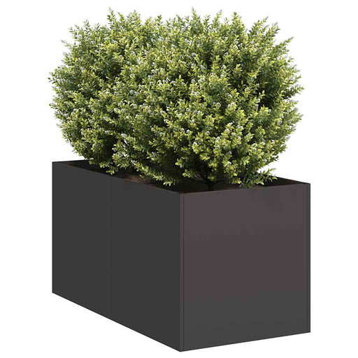 Jardinier negru 40x80x40 cm Oțel laminat la rece - WALTI WALTI