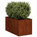 Jardinieră Rusty 40x80x40 cm Oțel pentru intemperii - WALTI WALTI