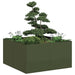 Jardinieră verde măsline 80x80x40 cm oțel laminat la rece - WALTI WALTI