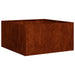 Jardinieră Rusty 80x80x40 cm Oțel pentru intemperii - WALTI WALTI