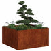 Jardinieră Rusty 80x80x40 cm Oțel pentru intemperii - WALTI WALTI