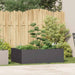 Jardinier negru 120x80x40 cm Oțel - WALTI WALTI