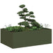Jardinieră verde măsline 120x80x40 cm oțel - WALTI WALTI