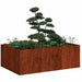 Jardinieră Rusty 120x80x40 cm Oțel pentru intemperii - WALTI WALTI