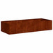 Jardinieră Rusty 200x80x40 cm Oțel pentru intemperii - WALTI WALTI