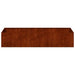 Jardinieră Rusty 200x80x40 cm Oțel pentru intemperii - WALTI WALTI