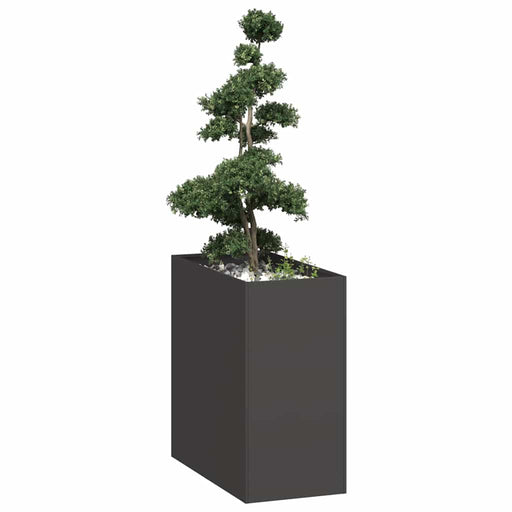 Jardinieră Negru 40x80x80 cm Oțel - WALTI WALTI