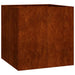 Jardinieră Rusty 80x80x80 cm Oțel pentru intemperii - WALTI WALTI