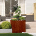 Jardinieră Rusty 80x80x80 cm Oțel pentru intemperii - WALTI WALTI