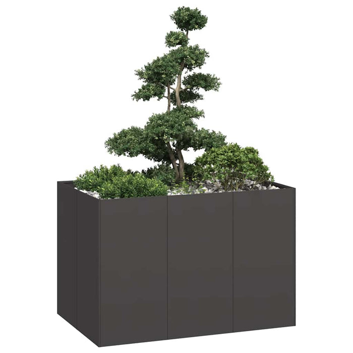 Jardinier negru 120x80x80 cm Oțel - WALTI WALTI