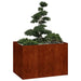 Jardinieră Rusty 120x80x80 cm Oțel pentru intemperii - WALTI WALTI
