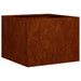 Jardinieră Rusty 40x40x30 cm Oțel pentru intemperii - WALTI WALTI