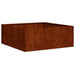 Jardinieră Rusty 80x80x30 cm Oțel pentru intemperii - WALTI WALTI