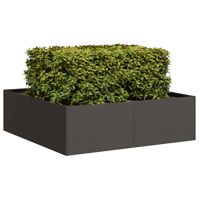 Jardinieră Negru 100x100x30 cm Oțel - WALTI WALTI