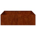 Jardinieră Rusty 100x100x30 cm Oțel pentru intemperii - WALTI WALTI