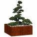 Jardinieră Rusty 100x100x40 cm Oțel pentru intemperii - WALTI WALTI