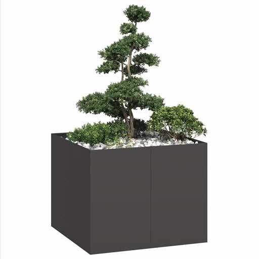 Jardinieră Negru 100x100x80 cm Oțel - WALTI WALTI