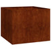 Jardinieră Rusty 100x100x80 cm Oțel pentru intemperii - WALTI WALTI