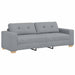 Set canapele 2 piese cu perne gri deschis, material textil - WALTI WALTI
