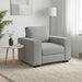 Canapea fotoliu gri nor 100x77x82 cm material textil - WALTI WALTI