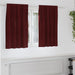 Perdele opace 2 pcs Roșu Vin 140 x 140 cm Catifea - WALTI WALTI