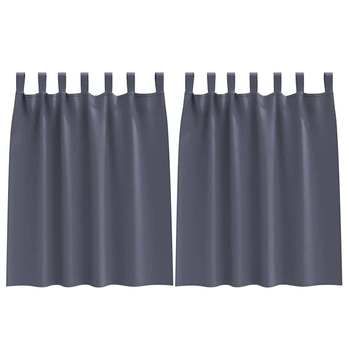 Perdele cu perdele 2 pcs Antracit Poliester - WALTI WALTI