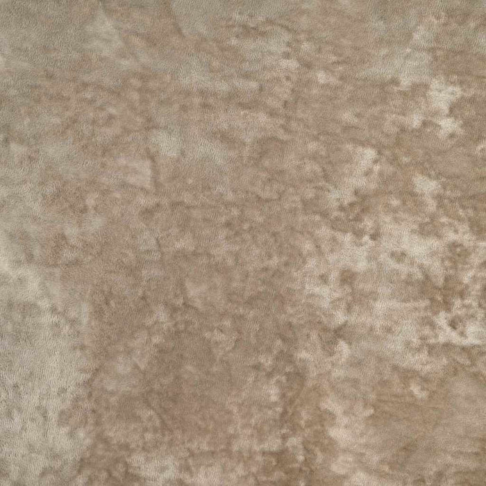 Cortine din catifea 2 pcs Șampanie 245 x 140 cm Catifea - WALTI WALTI