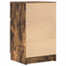 Noptiere, 2 buc., stejar afumat, 39x35x65 cm, lemn prelucrat - WALTI WALTI