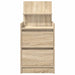 Noptiera cu 2 sertare Stejar Sonoma 38x34x80 cm - WALTI WALTI