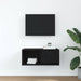Dulap TV Stejar negru 60x31x25,5 cm Lemn prelucrat - WALTI WALTI