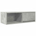 Dulap TV Beton Gri 80x31x25,5 cm Lemn prelucrat - WALTI WALTI