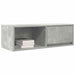 Dulap TV Beton Gri 80x31x25,5 cm Lemn prelucrat - WALTI WALTI