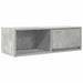 Dulapuri TV 2 buc Beton Gri 80x31x25,5 cm Lemn prelucrat - WALTI WALTI