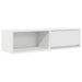Dulap TV alb 100x31x25,5 cm lemn prelucrat - WALTI WALTI
