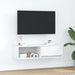 Dulap TV alb 100x31x25,5 cm lemn prelucrat - WALTI WALTI