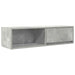 Comodă TV, gri beton, 100x31x25,5 cm, lemn prelucrat - WALTI WALTI