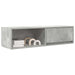 Comodă TV, gri beton, 100x31x25,5 cm, lemn prelucrat - WALTI WALTI