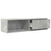 Comodă TV, gri beton, 100x31x25,5 cm, lemn prelucrat - WALTI WALTI