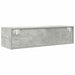 Comodă TV, gri beton, 100x31x25,5 cm, lemn prelucrat - WALTI WALTI