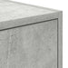 Comodă TV, gri beton, 100x31x25,5 cm, lemn prelucrat - WALTI WALTI