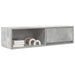 Dulapuri TV 2 buc Beton Gri 100x31x25,5 cm Lemn prelucrat - WALTI WALTI
