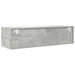 Dulapuri TV 2 buc Beton Gri 100x31x25,5 cm Lemn prelucrat - WALTI WALTI